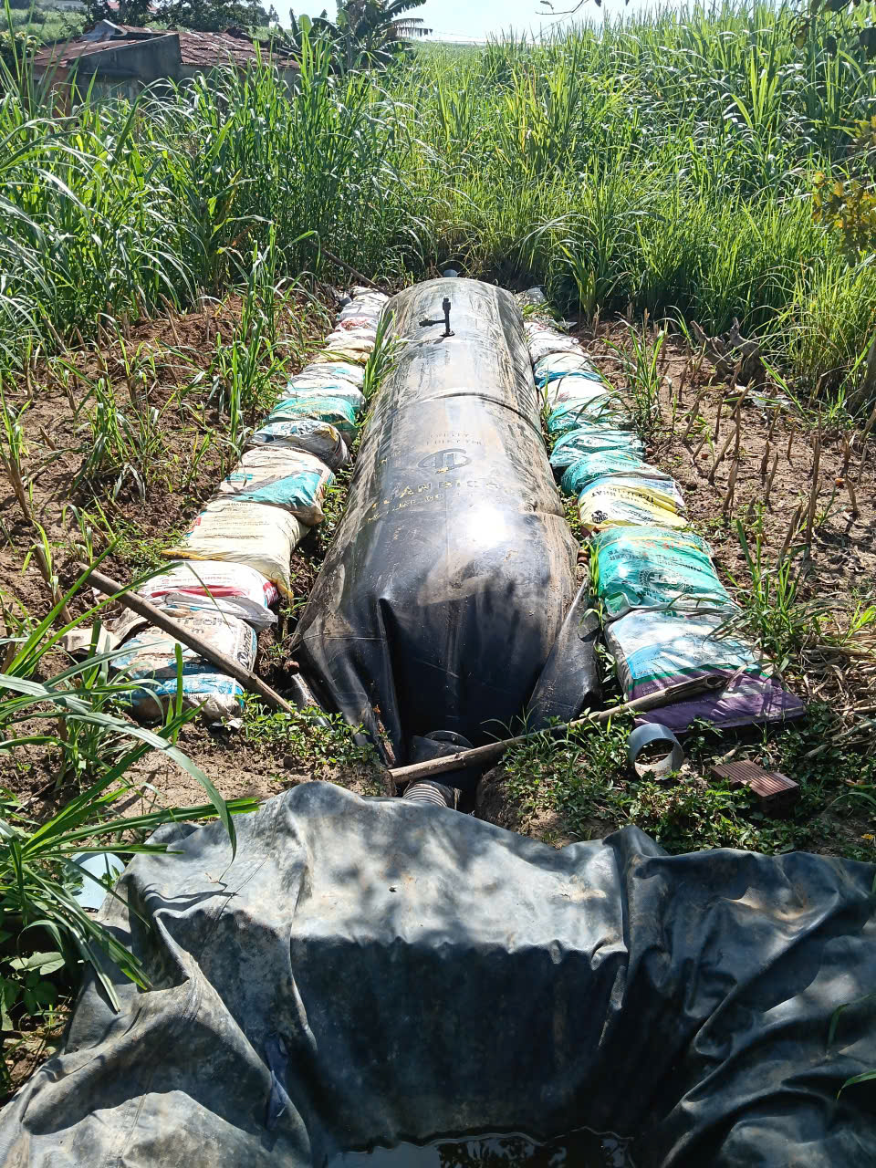 TÚI BIOGAS 6 KHỐI | GIÁ 4.900.000Đ CỦA TUẤN BIOGAS CÓ NHỮNG GÌ?